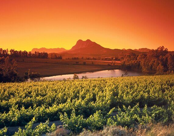 Shared Tour To The Wineries Stellenbosch Paarl + Cheese Tasting from Cape Town - Key Points