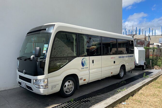 Shared Transfer from Nadi Airport to Denarau and Nadi Hotel - Vehicle and Comfort