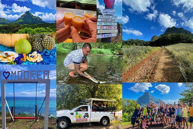 Shared Transfer: Hotel or Cruise Port to Tahiti Airport - The Sum Up