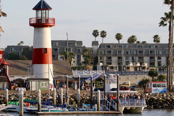 Shared Two-Hour Whale Watching Tour from Oceanside - The Itinerary: What to Expect
