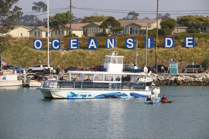 Shared Two-Hour Whale Watching Tour from Oceanside - What Do Past Travelers Say?