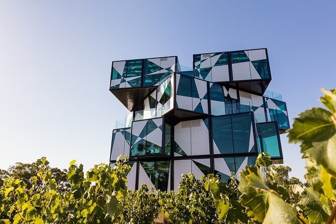 Shared Wine Taste Experience The Dead Arm Distinction - Final Thoughts
