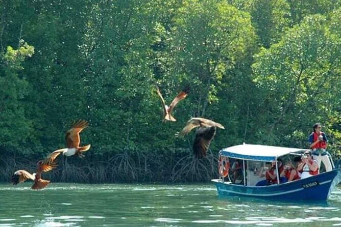 Sharing Half Day Kilim Geoforest Park Mangrove Boat Tour - Who Would Enjoy This Tour Most?