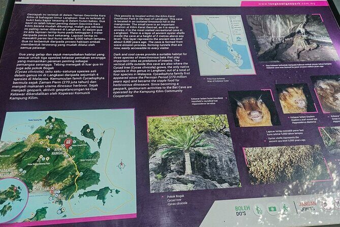 Sharing Half Day Mangrove Boat Tour With Lunch in Langkawi - An Introduction to the Tour Experience
