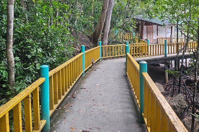 Sharing Half Day Mangrove Boat Tour With Lunch in Langkawi - The Bottom Line: Who Is This Tour Best For?