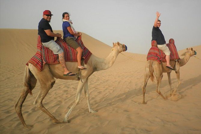 Sharing or Private Safari, Sand Boarding, Camel Ride, inland Sea Quick swim - What’s Included and What to Consider