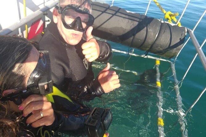 Shark Cage Diving - The Experience: What to Expect from Start to Finish