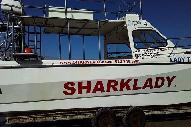 Shark Cage Diving - How the Tour Balances Value and Experience