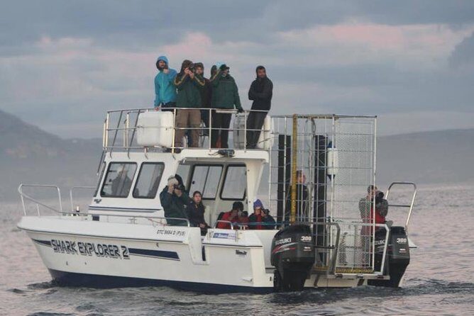 Shark cage diving & viewing tours in Gansbaai - Authenticity and Authentic Experiences