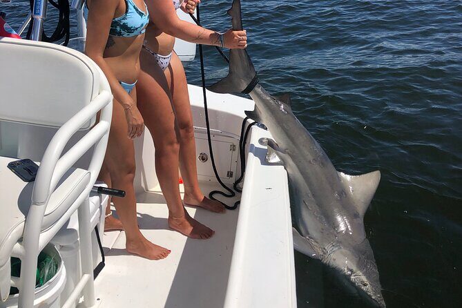 Shark Fishing Tampa Bay - Setting Sail for a Shark-Filled Adventure