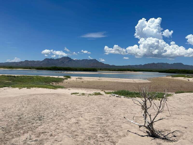 Shark Island: Tour of the largest island in Mexico - Starting the Day: Comfortable Transportation and Early Pickup