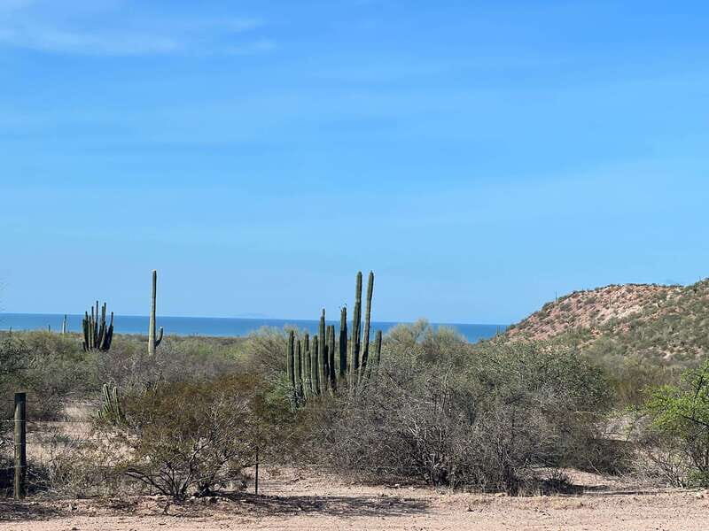 Shark Island: Tour of the largest island in Mexico - Punta Chueca: The Heart of the Comcaac Community