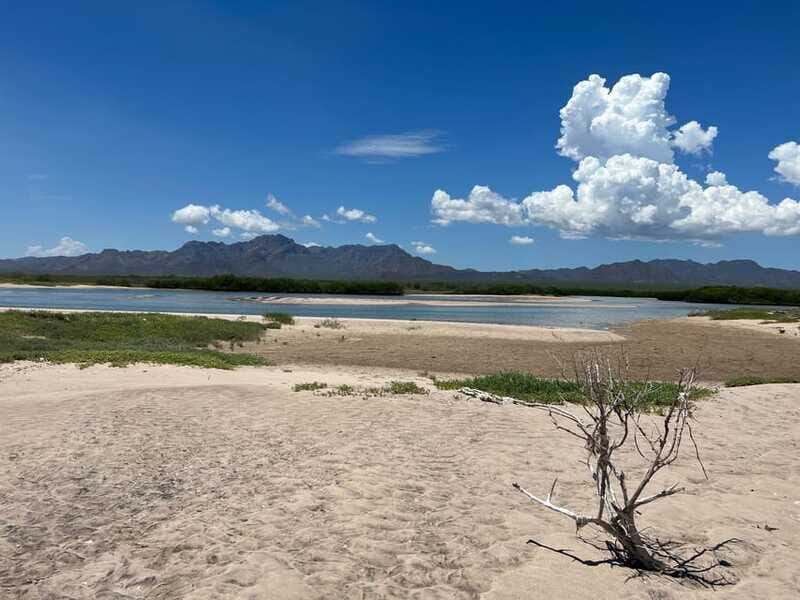 Shark Island: Tour of the largest island in Mexico - Panga Transfer: A Sea Adventure