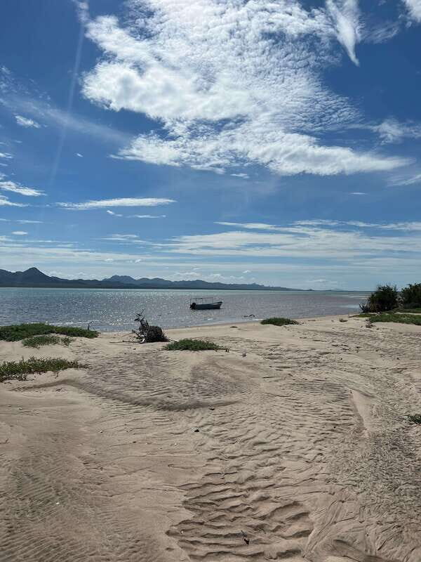 Shark Island: Tour of the largest island in Mexico - Ending the Day: Return Journey