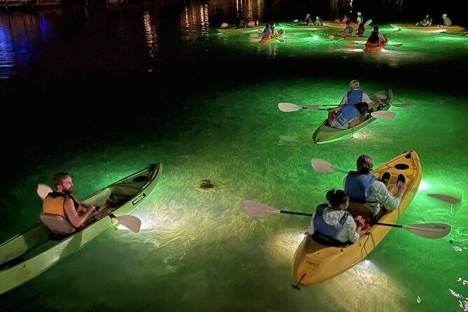 Sharkey's Glass Bottom Fish Feeding LED Night Tour in Clearwater - Key Points