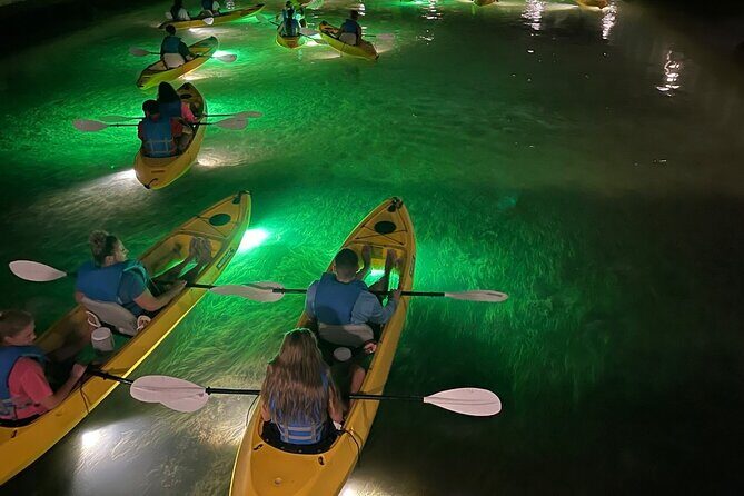 Sharkey's Glass Bottom Fish Feeding LED Night Tour in Clearwater - An In-Depth Look at the Tour Experience