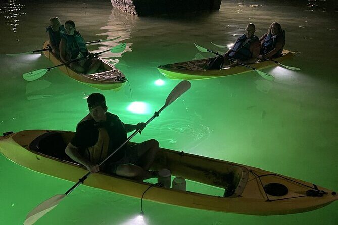 Sharkey's Glass Bottom Fish Feeding LED Night Tour in Clearwater - Things to Keep in Mind
