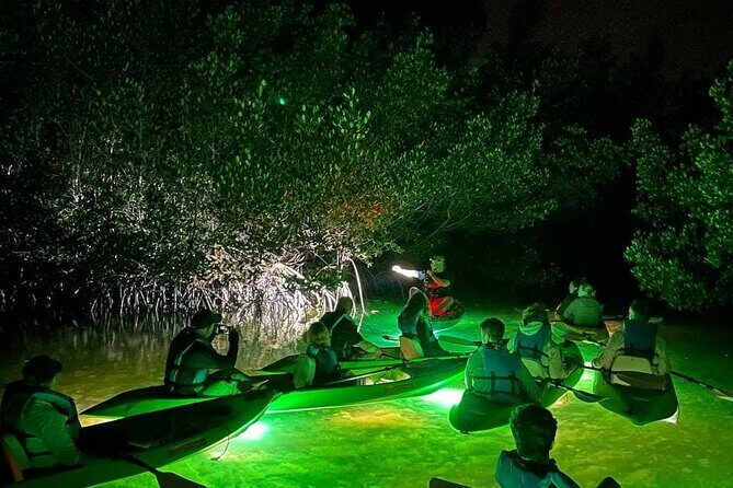 Sharkey's Glass Bottom Fish Feeding LED Night Tour in Sarasota - Key Points