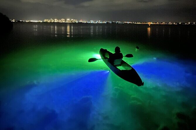 Sharkey's Glass Bottom Fish Feeding LED Night Tour in Sarasota - What You Can Expect on This Sarasota Water Adventure