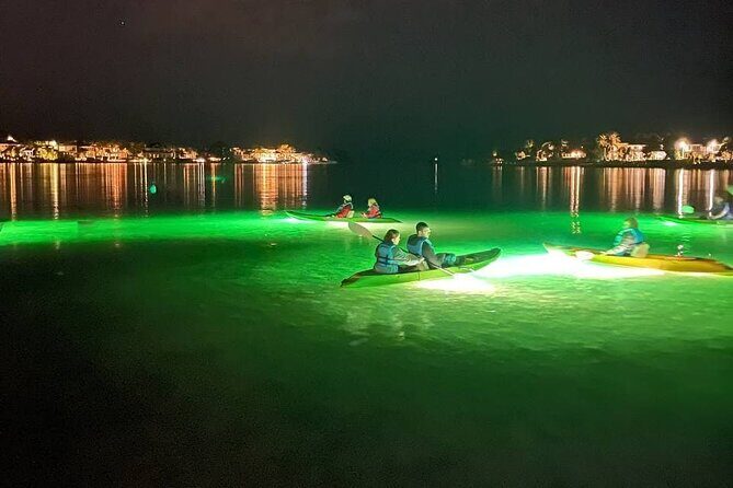 Sharkey's Glass Bottom Fish Feeding LED Night Tour in Sarasota - Who Will Love This Tour?