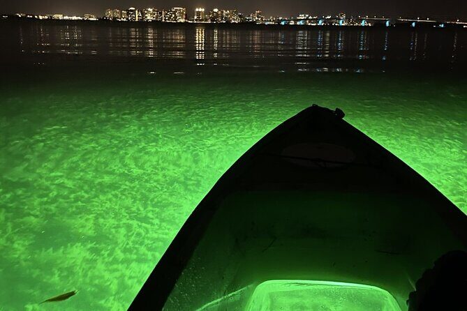 Sharkey's Glass Bottom Fish Feeding LED Night Tour in Sarasota - Summary