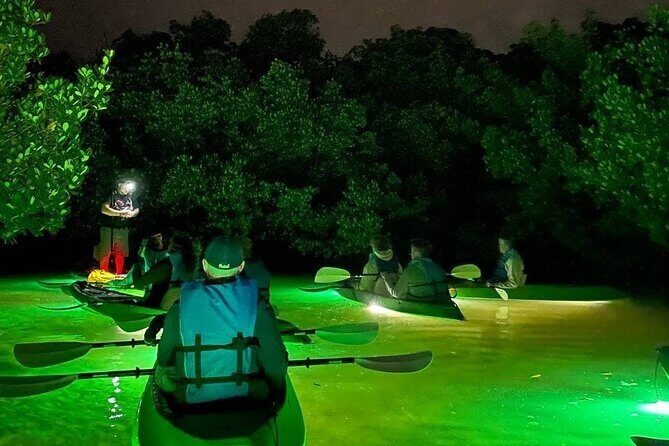 Sharkey's Glass Bottom Fish Feeding LED Night Tour in Sarasota - FAQ