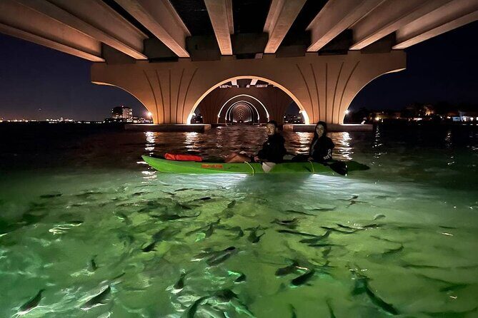 Sharkeys Glass Bottom Fish Feeding LED Night Tour St. Pete Beach - An In-Depth Look at the Experience