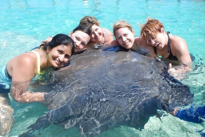 Sharks & Stingrays Snorkeling in Punta Cana with Parasailing - Key Points