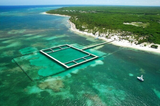 Sharks & Stingrays Snorkeling in Punta Cana with Parasailing - Final Thoughts: Who Will Love This Tour?