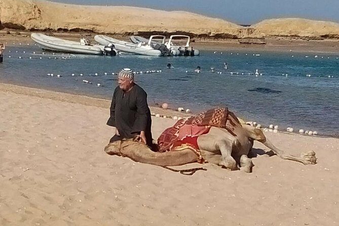 Sharm El Naga National Park water turtle house Full Day Snorkeling Trip-Hurghada - What the Reviews Say