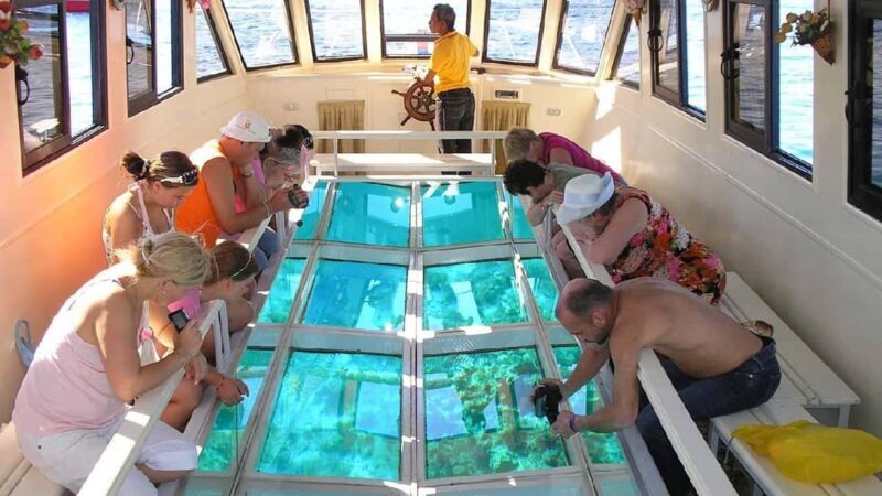 Sharm El-Sheik: Coral Reef Glass-Bottom Boat Tour - A detailed look at the Coral Reef Glass-Bottom Boat Tour