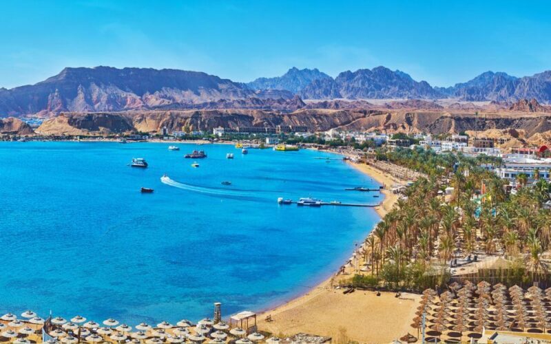 Sharm El-Sheik: Coral Reef Glass-Bottom Boat Tour - The Experience: What Travelers Can Expect