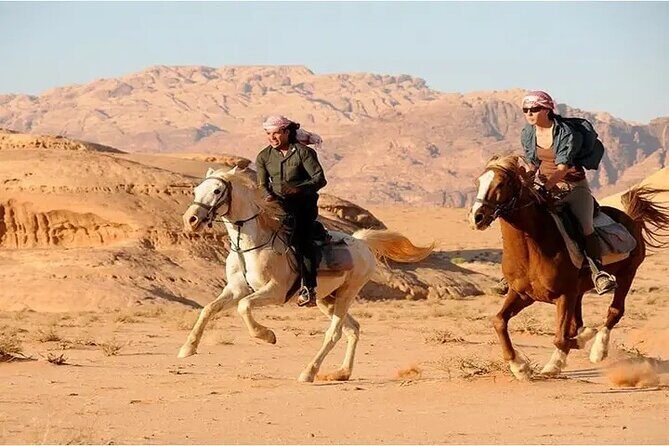 Sharm El-Sheikh: 2-Hour Horse Ride Along Beach & Desert Trails - What the Tour Offers: An In-Depth Look