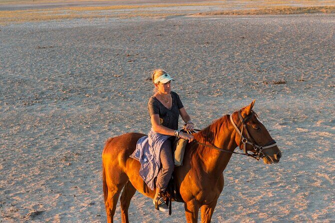 Sharm El-Sheikh: 2-Hour Horse Ride Along Beach & Desert Trails - Who Should Consider This Tour?