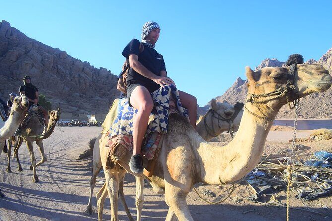 Sharm El-Sheikh ATV Quad Safari & Camel ride with Hotel transfer - Practical Tips for Travelers