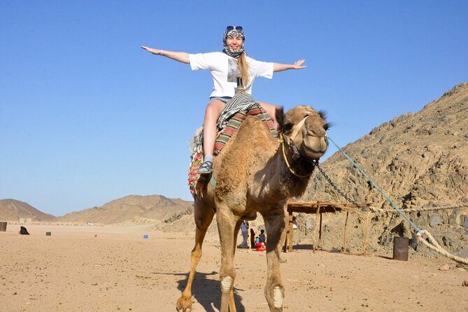 Sharm El-Sheikh ATV Quad Safari & Camel ride with Hotel transfer - FAQs