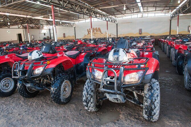 Sharm El Sheikh: ATV Quad Safari With Camel Ride, Dinner & Show - Final Thoughts on Value and Experience