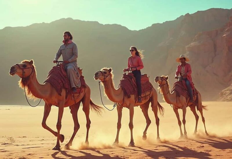 Sharm El-Sheikh: Camel Riding, Stargazing, BBQ Dinner & Show - What’s Included and How It All Fits Together