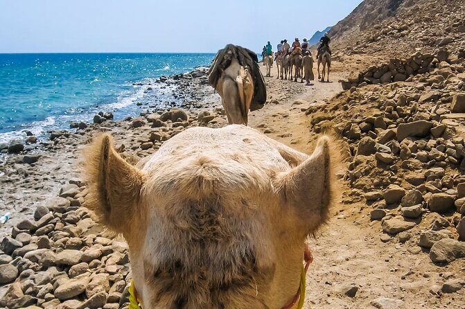 Sharm El Sheikh: Colored Canyon Jeep Tour with Blue Hole & Dahab - The Itinerary in Detail: What to Expect