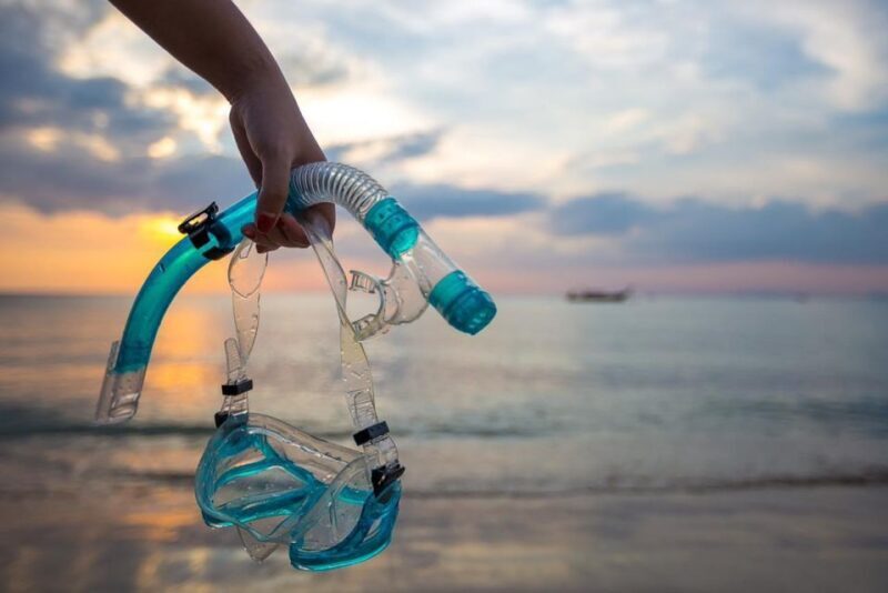 Sharm El Sheikh: Day sail to White island and Ras Mohamed - Key Points