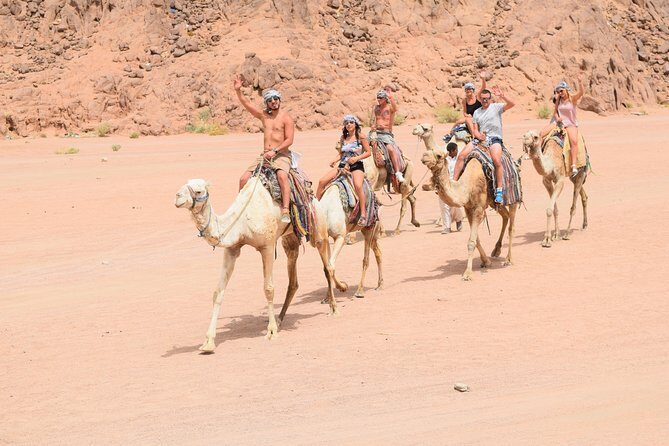Sharm El Sheikh Desert Adventure (5X1) - Transportation, Pricing, and Group Size