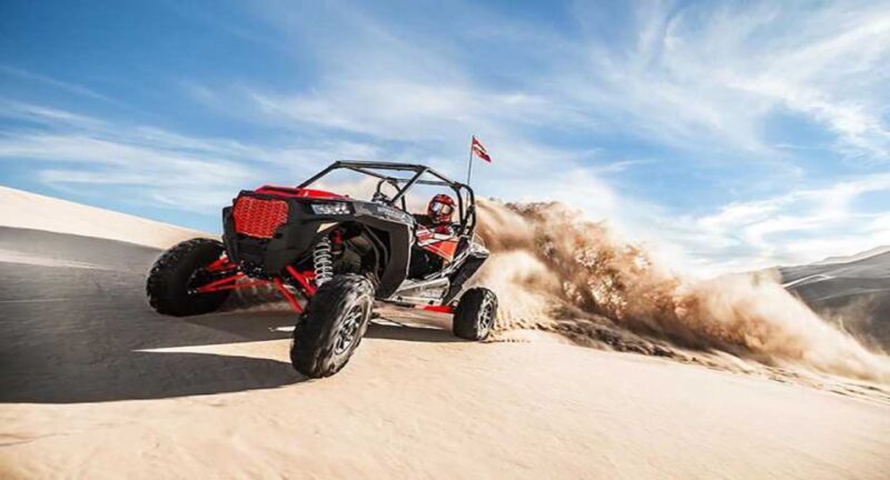 Sharm El-Sheikh: Desert Buggy Safari Adventure - Key Points