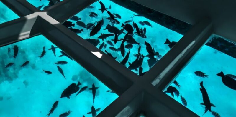 Sharm El Sheikh: Glass Bottom Boat Tour & Private Transfer - FAQ About the Glass Bottom Boat Tour