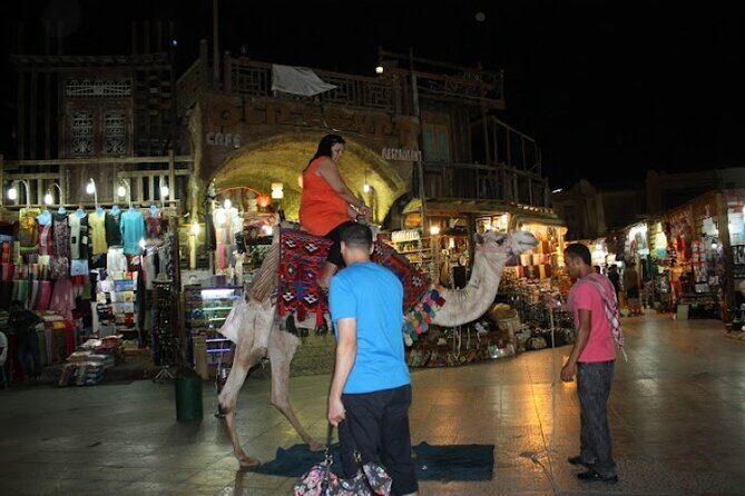 Sharm El-Sheikh Highlights: Private Guided City Tour - Final Thoughts: Who Will Love This Tour?
