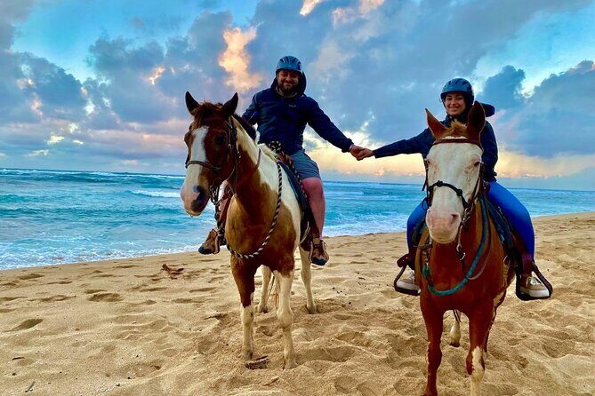 Sharm El Sheikh Horseback Riding with Pickup and Drop-off - Key Points