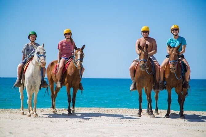 Sharm El Sheikh Horseback Riding with Pickup and Drop-off - What to Expect from This Horseback Riding Tour