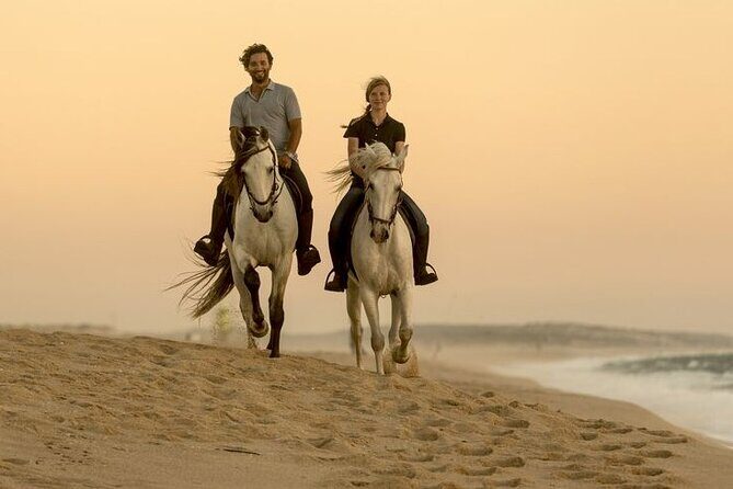 Sharm El Sheikh Horseback Riding with Pickup and Drop-off - FAQs