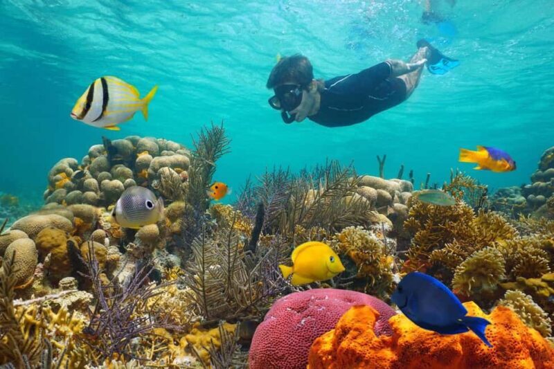 Sharm El Sheikh: Luxury boat Cruise with Snorkeling & Lunch - An Overview of the Experience