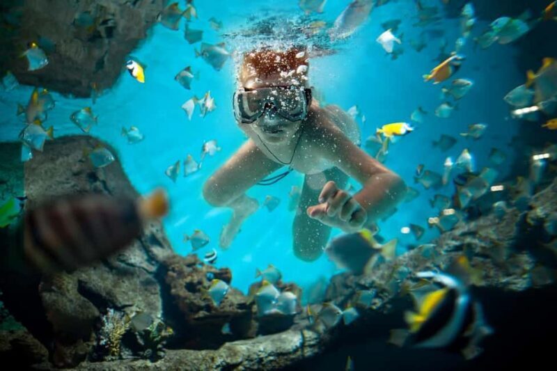 Sharm El Sheikh: Luxury boat Cruise with Snorkeling & Lunch - Who Should Consider This Tour?