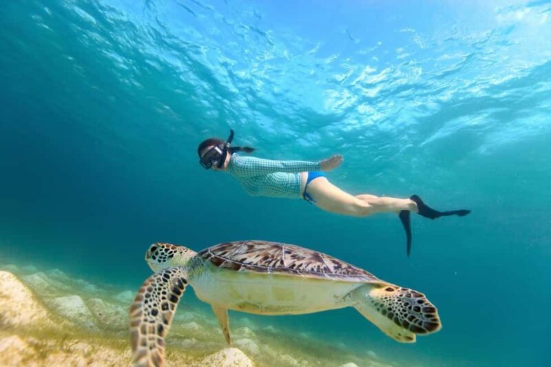 Sharm El Sheikh: Luxury boat Cruise with Snorkeling & Lunch - FAQ